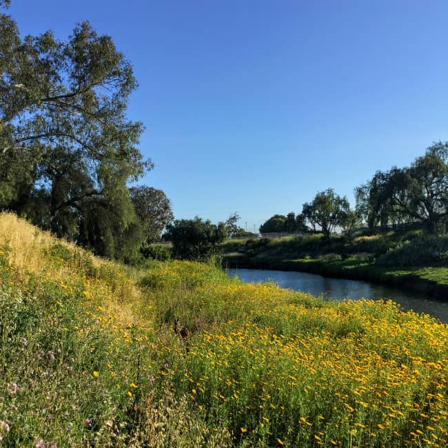 Watershed Spotlight: Rose Creek | San Diego Coastkeeper