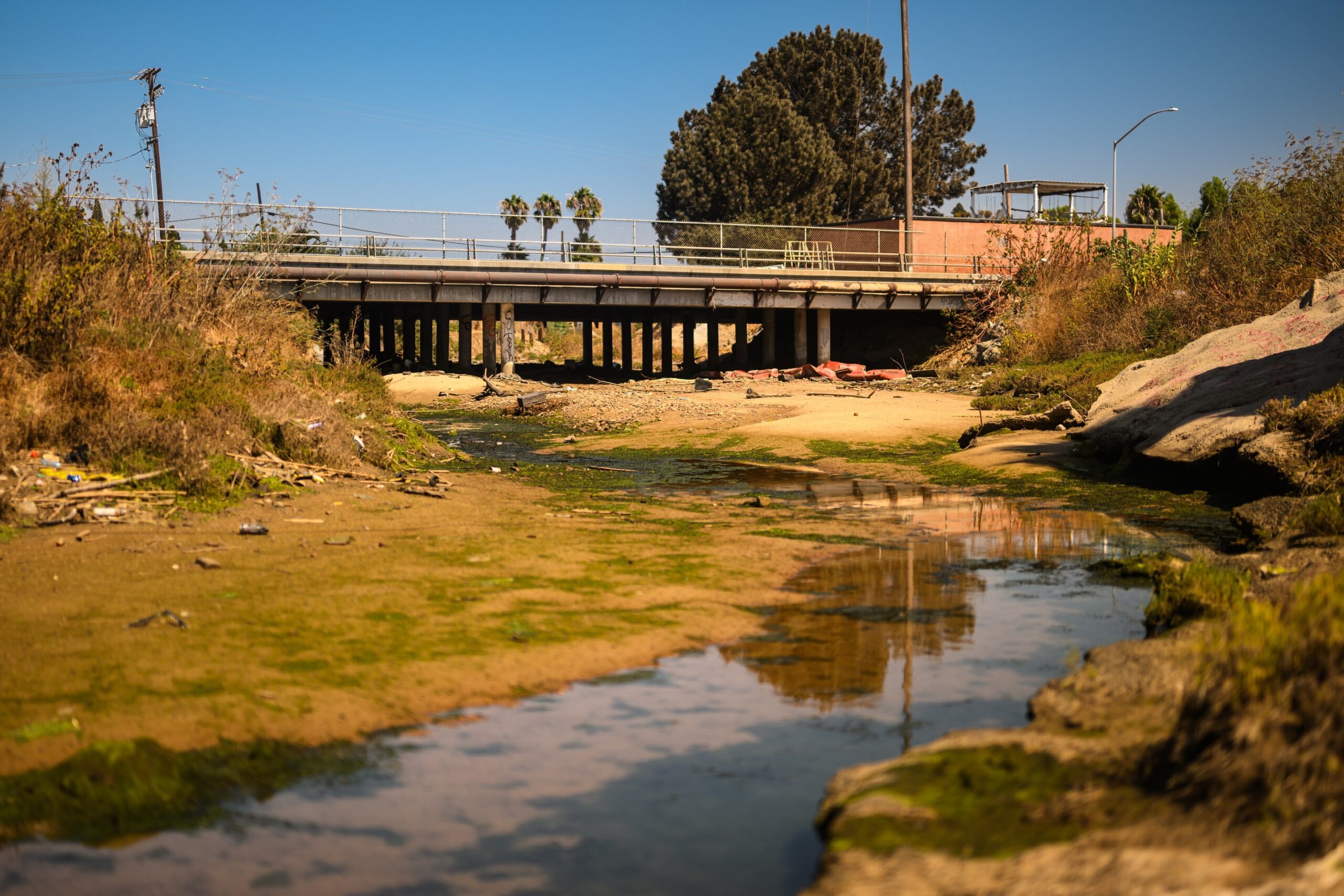 Pollution, debris, and vegetation in Chollas Creek into which stormwater gets funneled and before flowing into San Diego Bay. Photo by Chris Parkes.