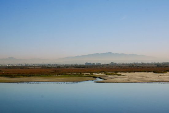 Tijuana River Valley in the morning.