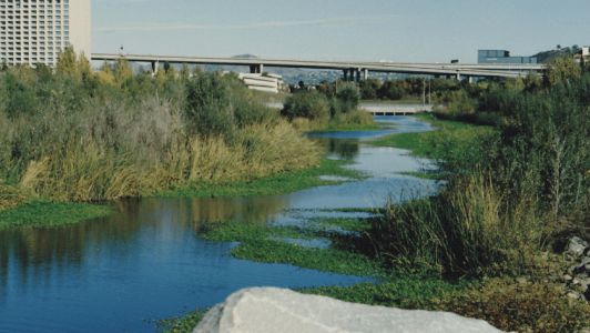 Photo: San Diego River Days 2024