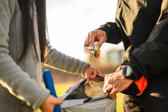 Trash being collected and counted at a San Diego Coastkeeper beach cleanup